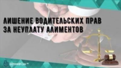 Как избежать административной ответственности при выплате алиментов?