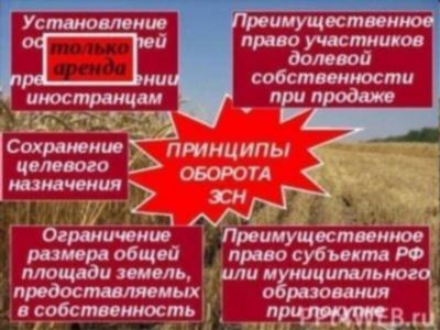 Важные детали аренды сельхозназначения