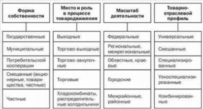 Новые профессии в торговле