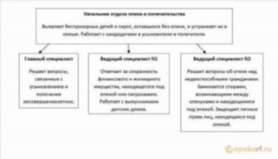 Процесс устройства на усыновление: Шаги и требования