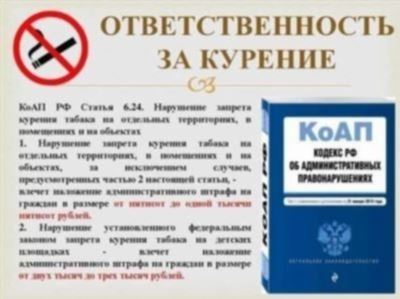 Какие места считаются общественными?