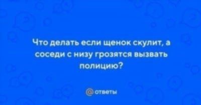 Можно ли анонимно вызвать полицию?