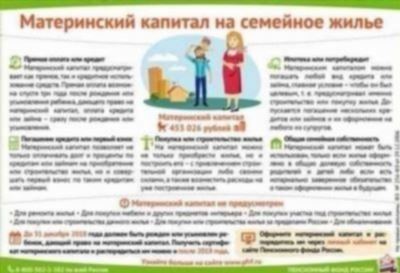 Можно ли на материнский капитал купить долю