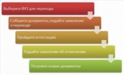 Кто может подать заявку на перевод: особенности и критерии