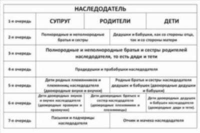 Какие документы и в какой срок нужно предоставить нотариусу