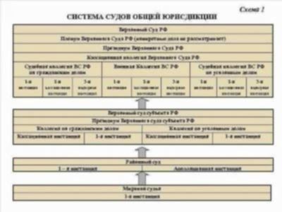 Основные принципы и суды общей юрисдикции