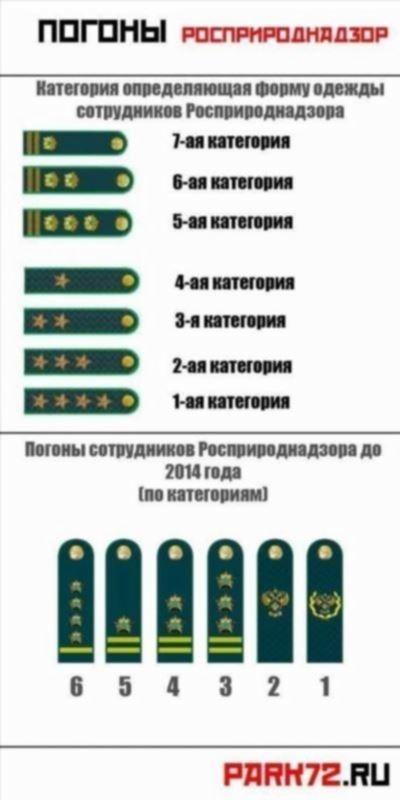 Милицейские (полицейские) погоны и звания: понятное объяснение с примерами