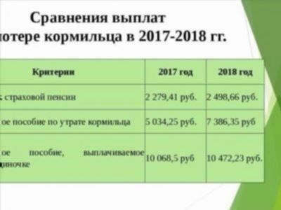 Ознакомьтесь с подробными сведениями о выплатах по потере кормильца