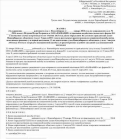 Перспективы обжалования судебных актов в Верховном Суде РФ