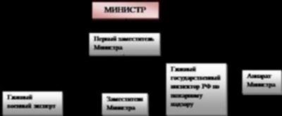 Главные подразделения МВД России