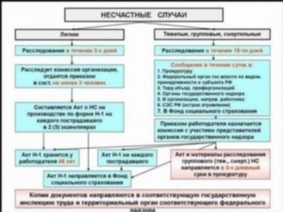 Порядок действий работодателя