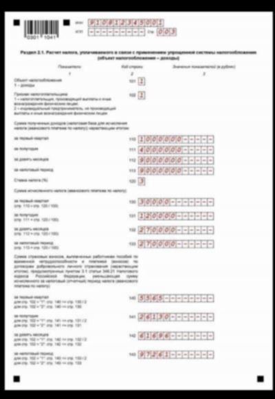 Что заполнить ИП в декларации по УСН?